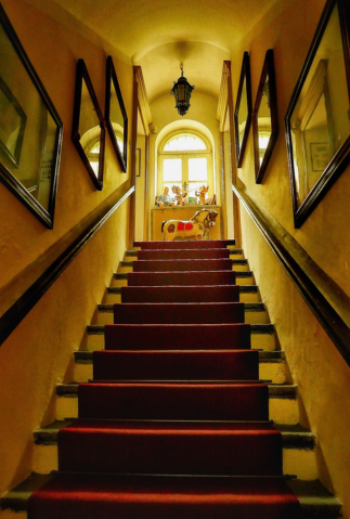 Decked for the Season